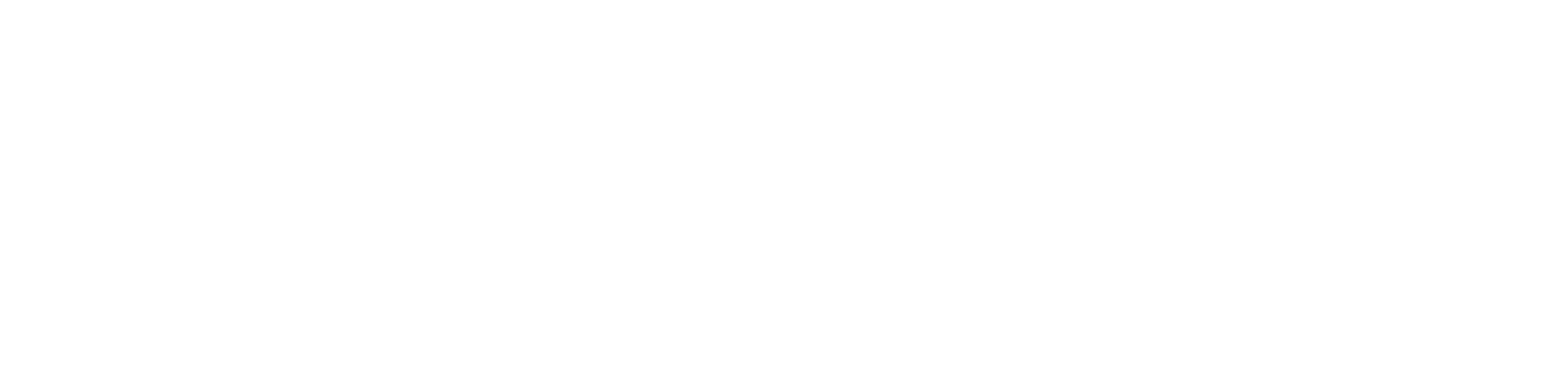 logo_balticare_biale